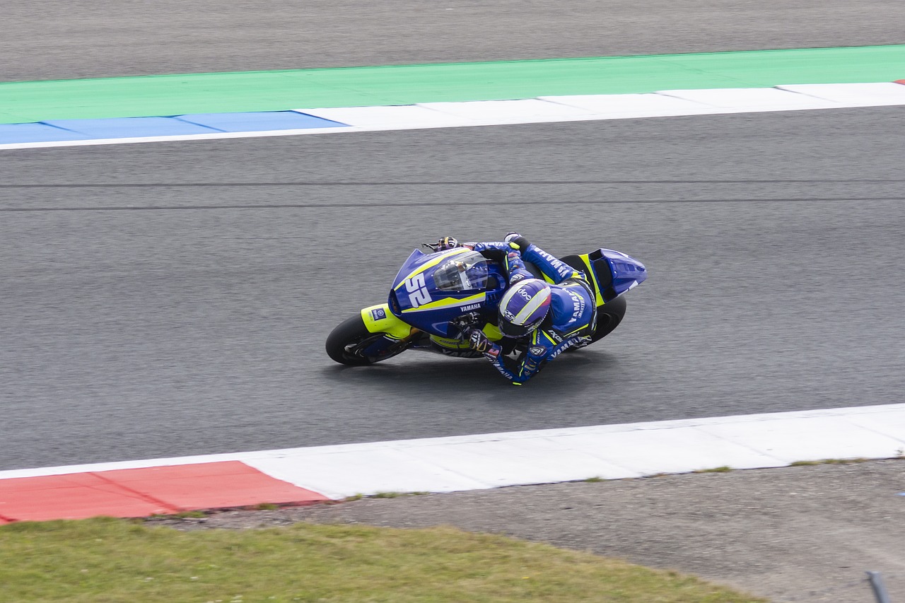 的成熟与领 的成熟与领