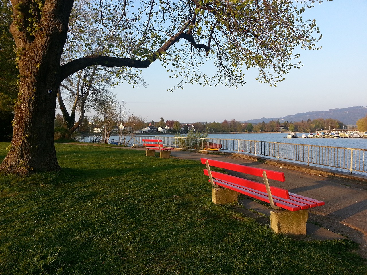 重要的内线 重要的内线