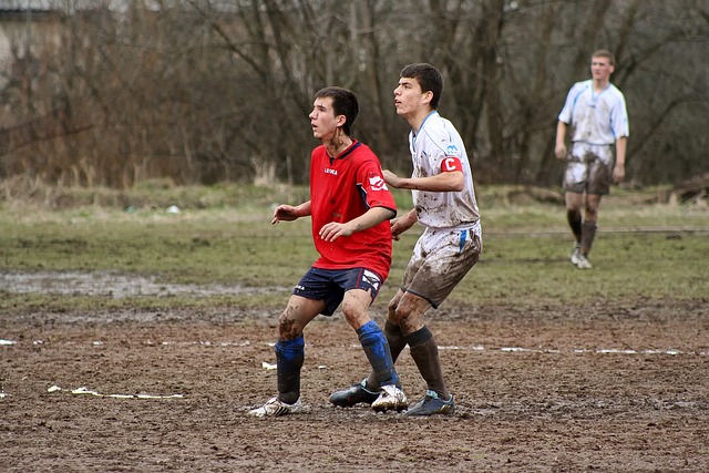 在体育竞技 在体育竞技