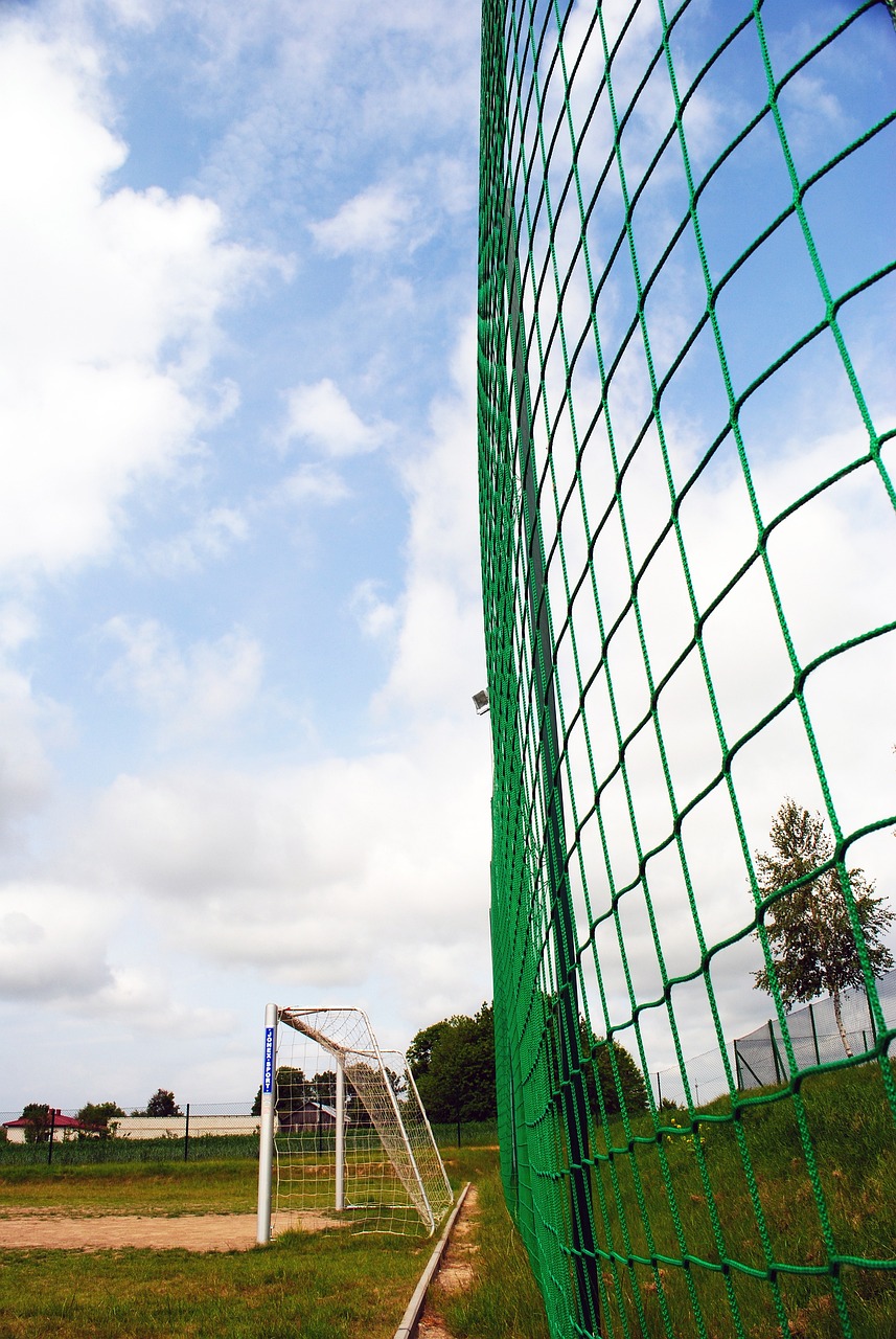 要通过在N 要通过在N