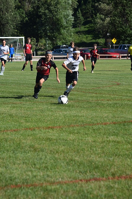 尊重和地位 尊重和地位